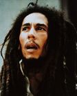 ���������� Bob Marley, ������� ��� ����������