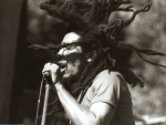 ���������� Bob Marley, ������� ��� ����������