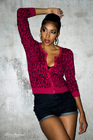 ���������� Brick & Lace, ������� ��� ����������