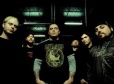 Chimaira