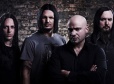 Disturbed