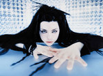 ���������� Evanescence, ������� ��� ����������