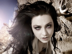 ���������� Evanescence, ������� ��� ����������