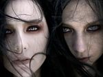 ���������� Evanescence, ������� ��� ����������
