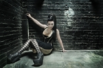 ���������� Evanescence, ������� ��� ����������