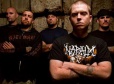 Hatebreed