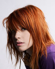 ���������� Hayley Williams, ������� ��� ����������