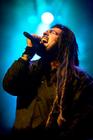 ���������� Ill Niño, ������� ��� ����������