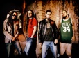 Korn