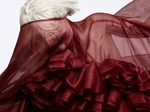 ���������� Lady GaGa, ������� ��� ����������