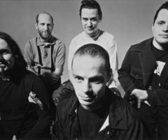 Mr. Bungle
