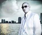 ���������� Pitbull, ������� ��� ����������