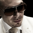 ���������� Pitbull, ������� ��� ����������