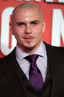 ���������� Pitbull, ������� ��� ����������
