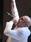 ���������� Pitbull, ������� ��� ����������
