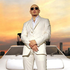���������� Pitbull, ������� ��� ����������