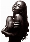 ���������� Sade, ������� ��� ����������
