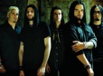 Saliva