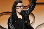 ���������� Skrillex, ������� ��� ����������