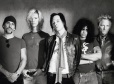 Velvet Revolver