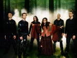 ���������� Within Temptation, ������� ��� ����������