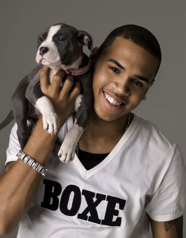 Фотография Chris Brown 19 из 34