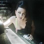 Фотография Evanescence 38 из 55