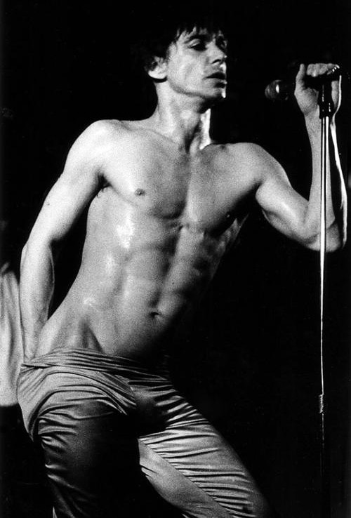 Фотография Iggy Pop 1 из 1