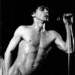 Фотография Iggy Pop 1 из 1