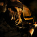 Фотография Mushroomhead 6 из 11